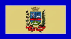 Flag of Chacao Municipality