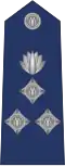 DIG Rank Badge of Bangladesh Police