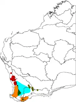 Map of Western Australia, showing ranges of five varieties of Banksia sphaerocarpa, all concentrated in the southwest corner of the continent