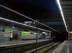 The station's platforms at night, before platform screen doors and the skylight were installed