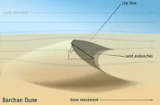 Dunes: barchan crescent sand dune