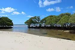 Beach in Barra de São Miguel