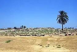 View of the temple site