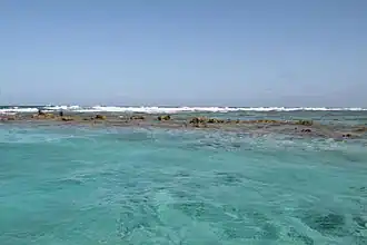 Close-up view of the reef