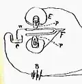 Fig. 3. Building on work by Helmholtz, Bell transmitted musical tones in 1872 using a tuning fork sounder, in which an electric current passed through a wire dipped into liquid in a cup (C) that was vibrated by the tuning fork.