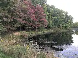 Beyer's Pond, in the Big Creek Reservation, Middleburg Heights