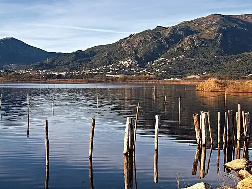 The Biguglia Lake