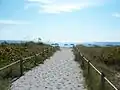 Path leading to the beach