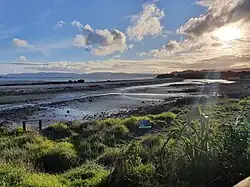 Nesting area for birds at Ambury Regional Park