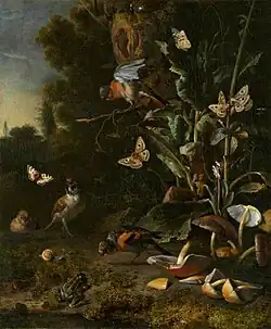Birds, Butterflies and Frog with Plants and Fungi (1668), oil on canvas, 68.3 x 56.8 cm., National Gallery