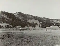 French basin near Sula, 1939