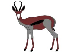 Pure black springbok