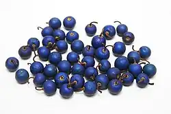 Ripe rudraksha fruits with typical blue colour