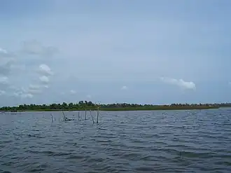 Bolgoda Lake