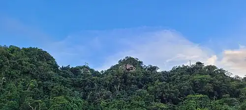 Karst mountains in the Vega Forest