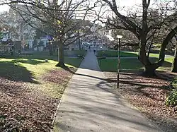 A paved path in autumn
