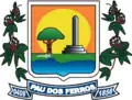 Official seal of Pau dos Ferros