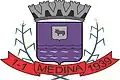 Official seal of Medina, Minas Gerais