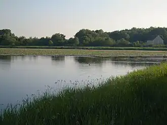 A view beside the pond in Saint-Michel en Brenne