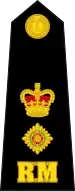 Lieutenant-colonel