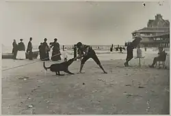 George Bradford Brainerd, Boy and Dog, Iron Pier, Coney Island, Brooklyn,, c. 1885. Glass plate negative, Brooklyn Museum