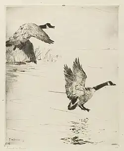 Geese Alighting, ca. 1916, Brooklyn Museum, New York
