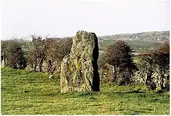 Y Werthyr, standing Stone near Bryn Llwyd farm