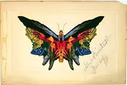 Butterfly by Albert Bierstadt, January 20, 1893