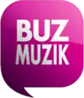 BuzMuzik logo