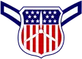 Cadet airman insignia
