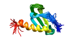 Visualization of crystallized protein CXCL14.
