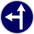Go straight or turn left