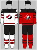 2017–present (with modifications) IIHF jerseys