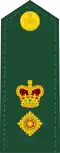 Canadian Army (Lieutenant Colonel)