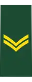 Corporal (French: Caporal) (Canadian Army)[39]