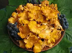 A collection of golden colored mushrooms with irregularly shaped caps on a plate.