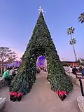 Decorative walk-through Christmas tree at Mission San Juan Capistrano festival, Southern California, December 2023