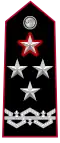 Shoulder insignia of a comandante generale of the Arma dei Carabinieri.
