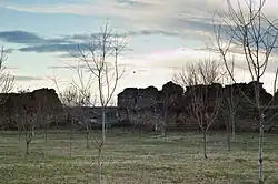 Ruins of the walls of the Doicești princely court