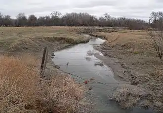Small creek running through sandy channel toward line of trees