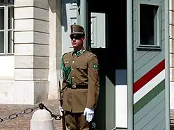 Ceremonial guard at Sándor palace, 2013 Budapest