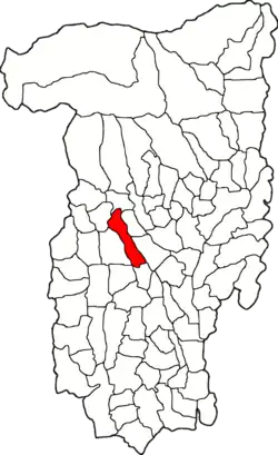 Location in Vâlcea County