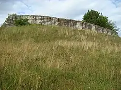 Ruins of Dăbâca Fortress