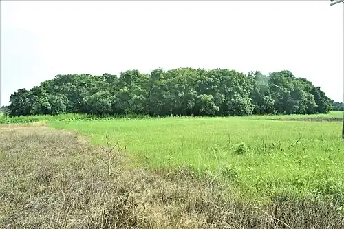 Chen Zat (Fantswam traditional forest), Kafanchan