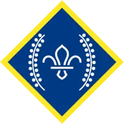 The Chief Scout's Platinum award badge