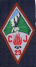 Insignia of CJF 29 - Team 6.