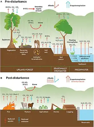 Climate change disturbances of rainforests.[113]