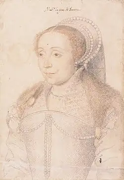 Sixteenth century zibellino or fur tippet