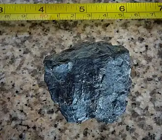 Coal Guaduas Formation
