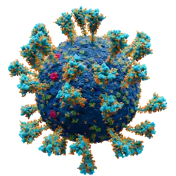 Scientifically accurate atomic model of the external structure of SARS-CoV-2. Each "ball" is an atom.